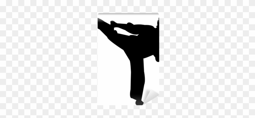 Kung Fu Silhouette #1611144