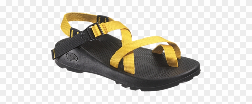 Yellow Chacos #1611529