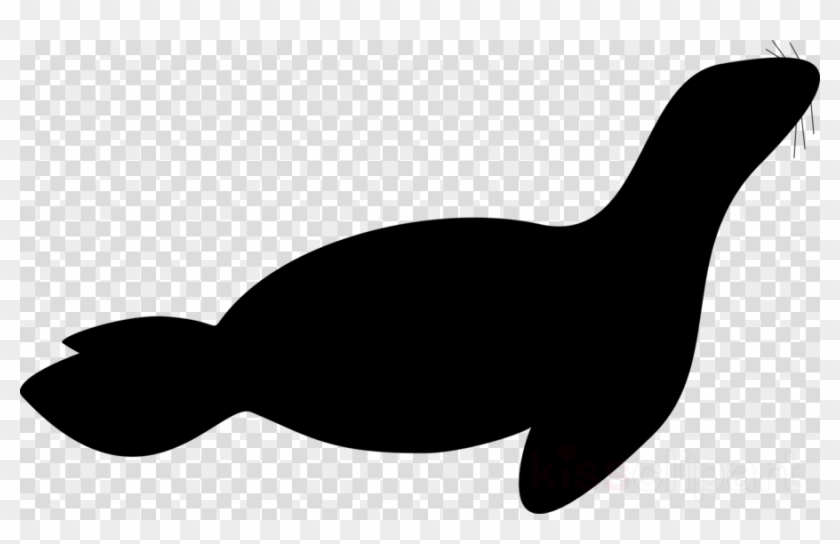 Leopard Seal Silhouette Clipart Walrus Harp Seal Clip - Clip Art #1611661