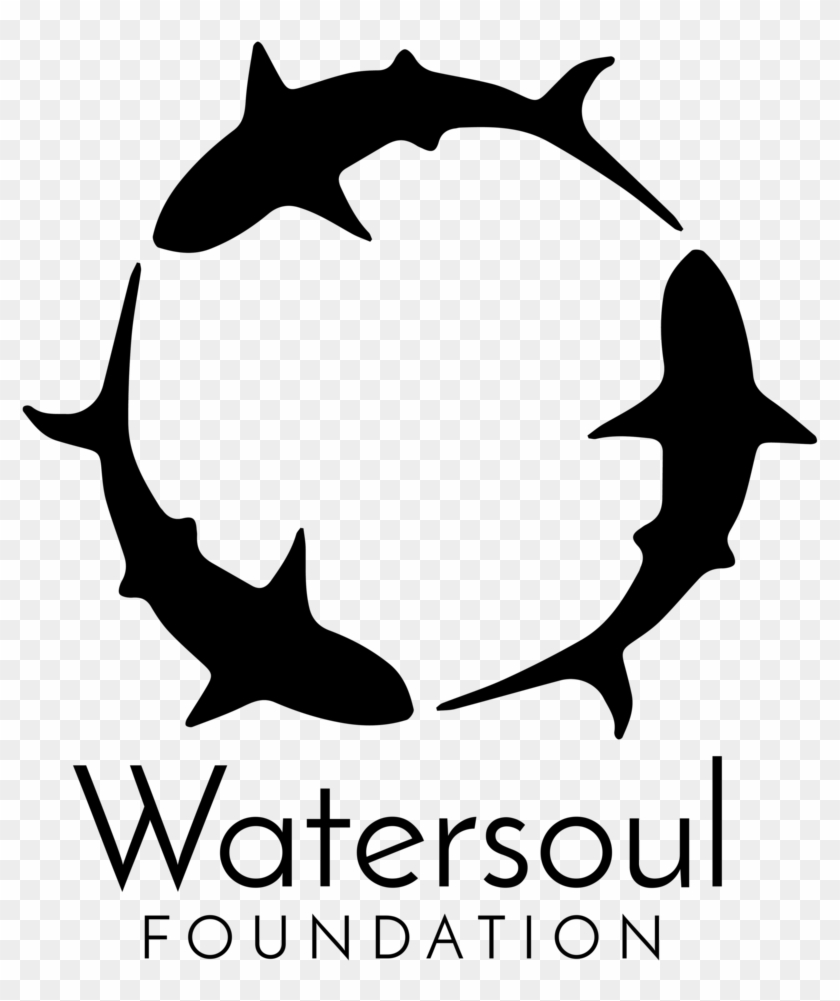 Watersoul Foundation - Watersoul Foundation #1611772