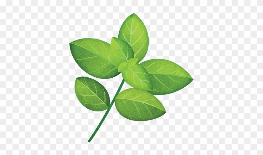 Basil Leaf Png - Tree #1612017