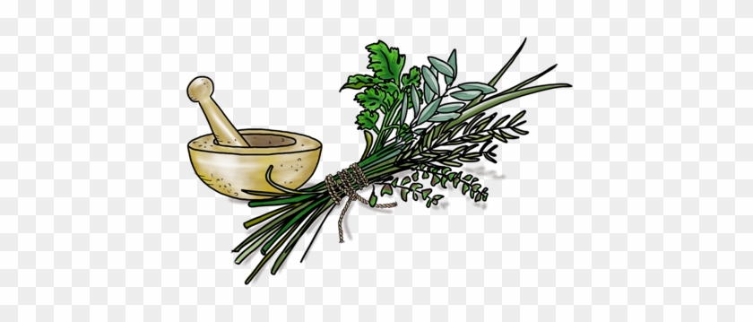 Olive This - Parsley #1612046