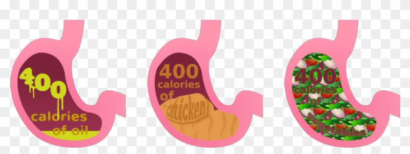 Lose Weight Clipart - Oil In Stomach Vs Vegetables #1613725