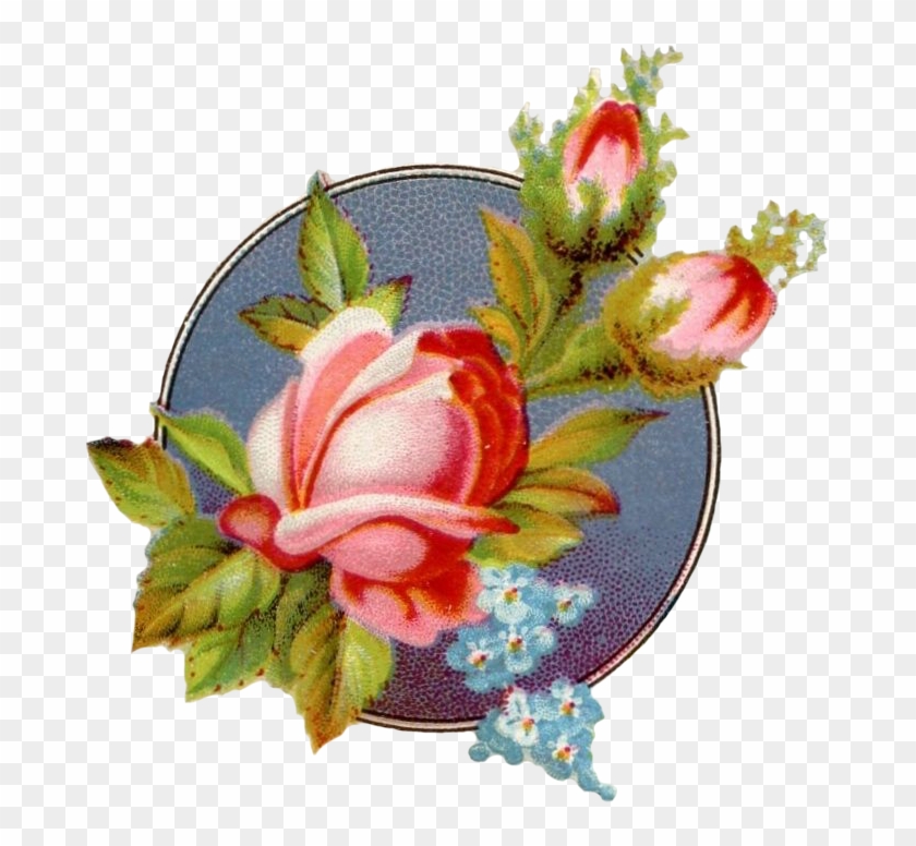 Garden Roses #1614034