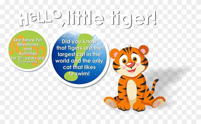 Tiger - Cartoon #1614036