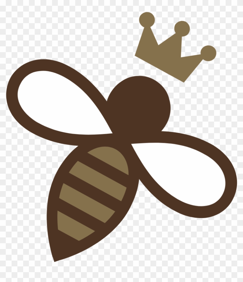 Droga Chocolates - Droga Chocolates #1614395