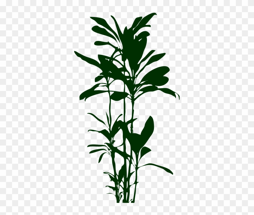 Plants Clipart #1615812