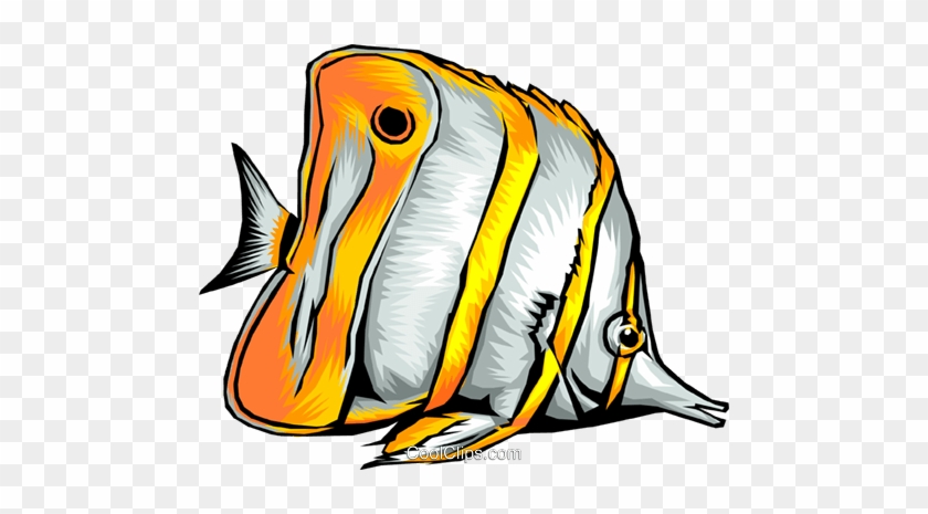 Tropical Fish Royalty Free Vector Clip Art Illustration - Fish Cartoon Realistic #1616495
