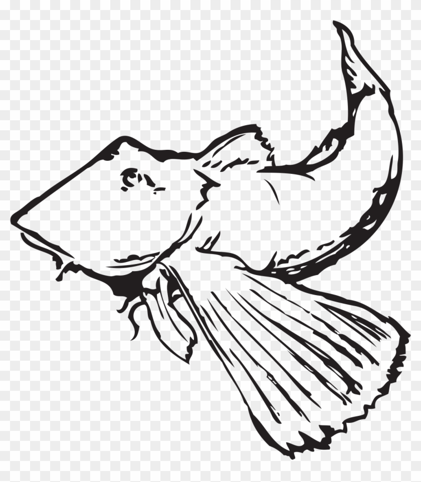 Robin Clipart Line Drawing - Illustration #1616732