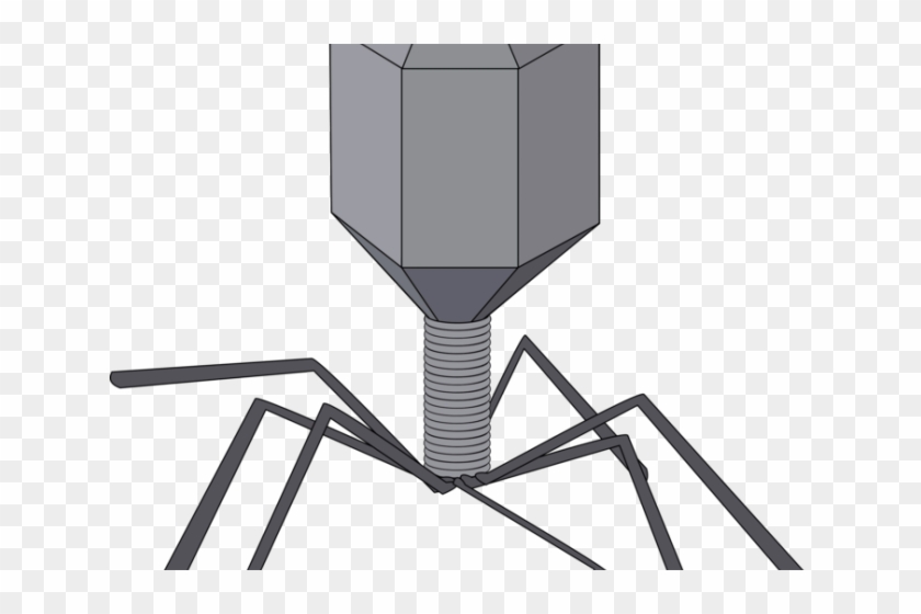 Virus Clipart - Virus Clip Art #1617685