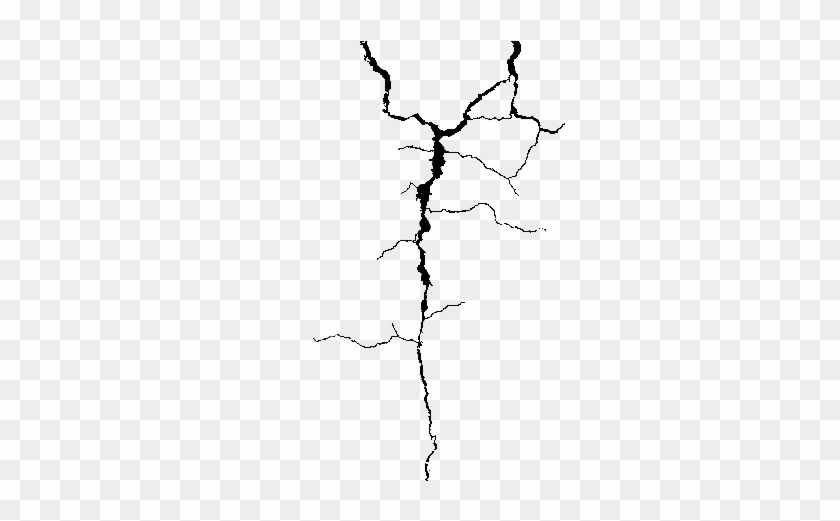 301 X 440 12 - Crack Line Png Transparent #1618697