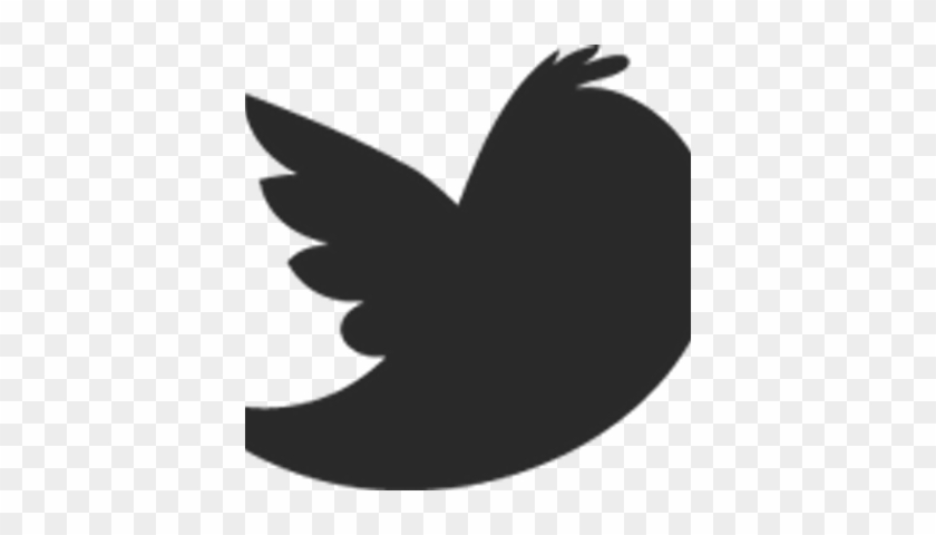 Jamie - Old Twitter Logo Png #1618962