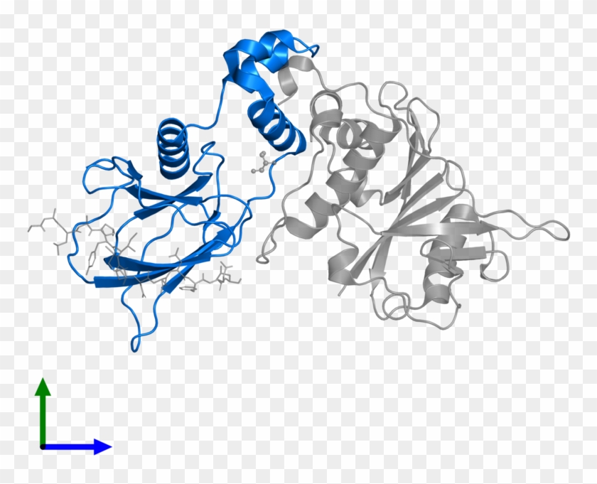 <div Class='caption-body'>pdb Entry 4ajy Contains 1 - Cartoon #1620536