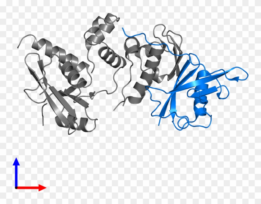 <div Class='caption-body'>pdb Entry 6c5x Contains 1 - Cartoon #1620539