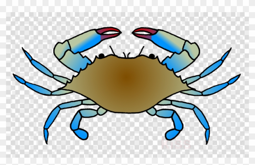 Chesapeake Blue Crab Clipart Dungeness Crab Clip Art - Blue Crab Drawing Easy #1620668