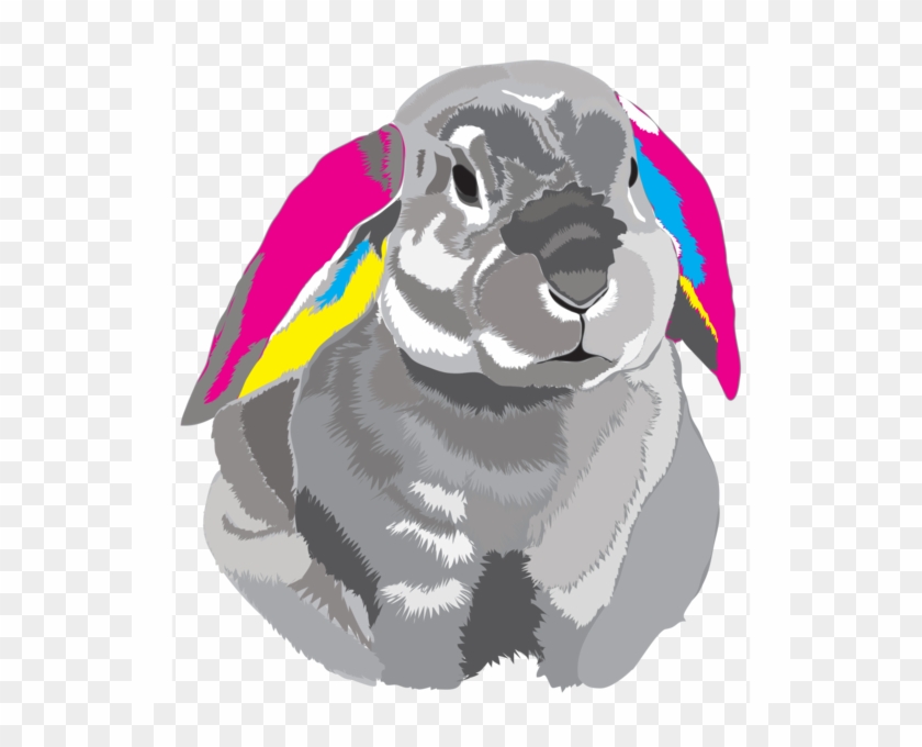 Rabbit #1620906