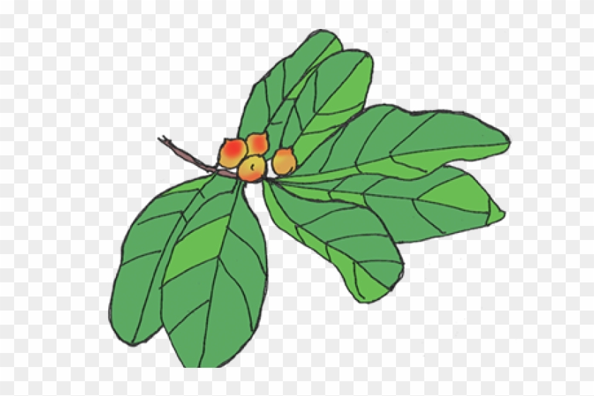 Waterfall Clipart Rainforest Tree - Insect #1622146