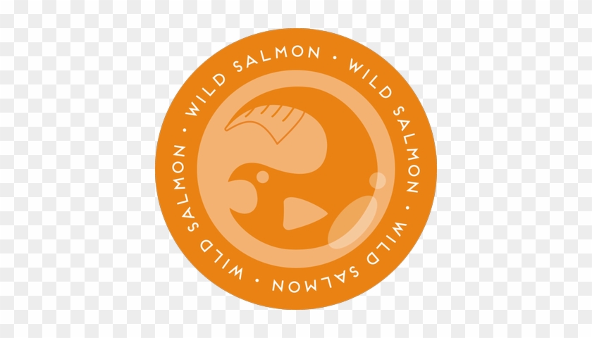 Wild Salmon - Circle #1622544