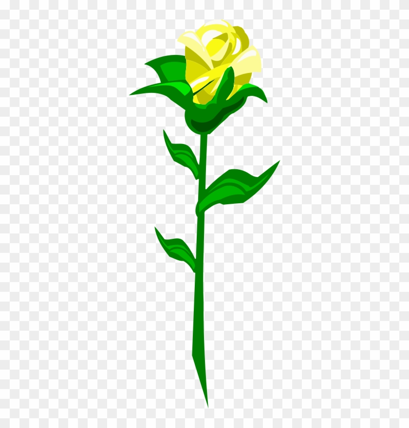 Medium Image - Medium Image #1622785