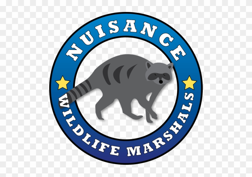 Nuisance Wildlife Marshals - Nuisance Wildlife Marshals #1622957