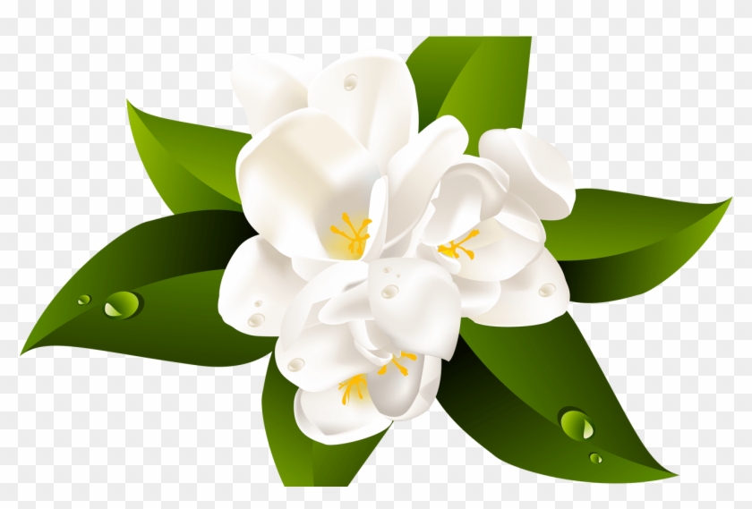 Clipartxtras Transparent Background Hawaiian Flower - Transparent Flower #1623530