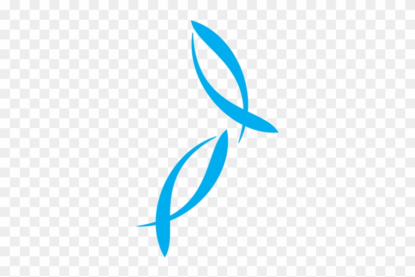 Feed Statement - Feed Statement #1624297