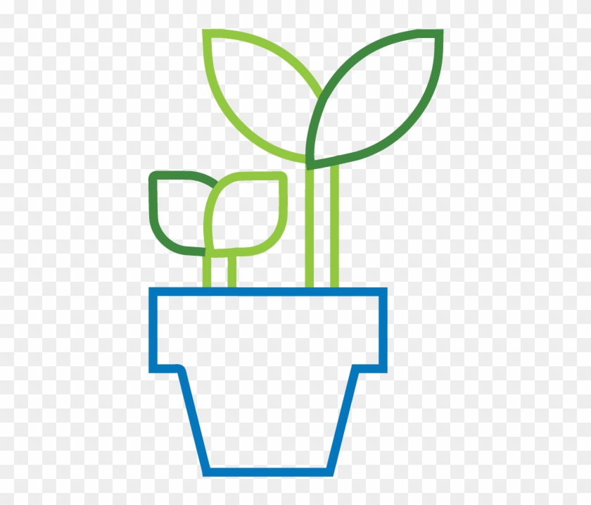 Organic - Organic #1624328