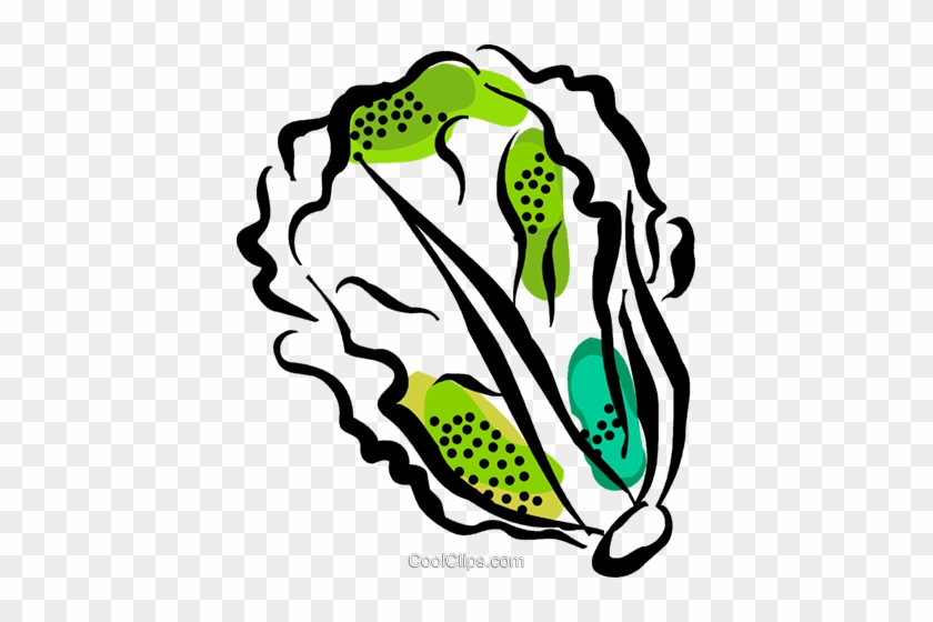 Lettuce Royalty Free Vector Clip Art Illustration - Easy Drawing Lettuce #1624380