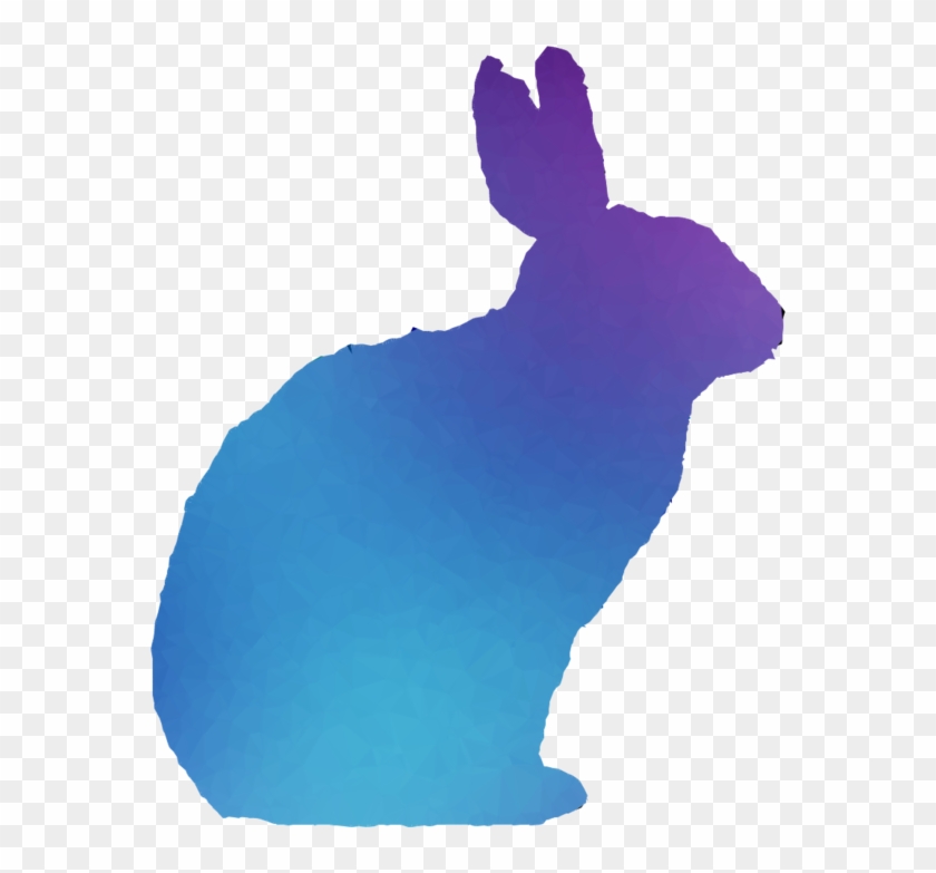Rabbit - Domestic Rabbit #1624704