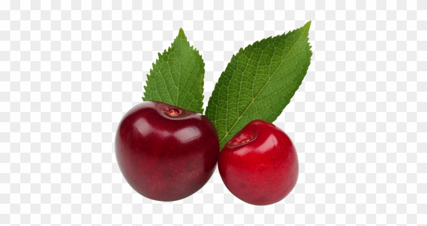 Fruit Images - Fruit #1625328