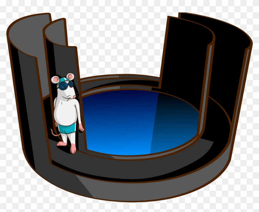 Water Associated Zero Maze - Rat Morris Water Maze #1626472