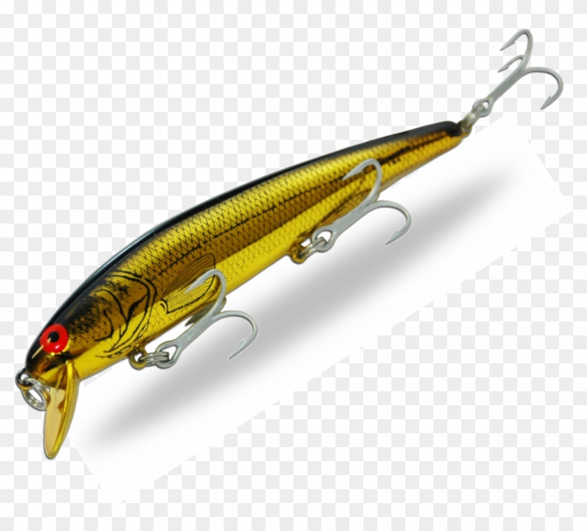 15a - Hd - Barramudi Lure #1627088