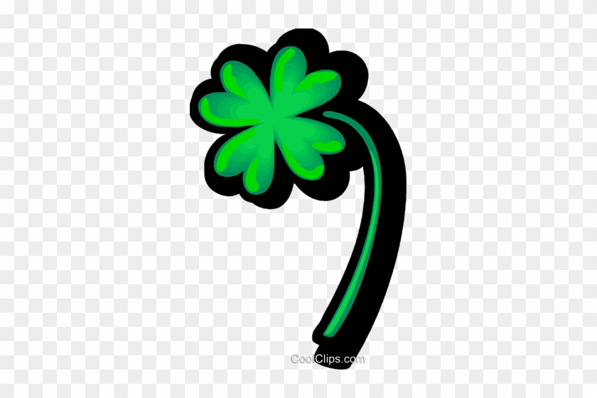 Shamrock - Shamrock #1627172