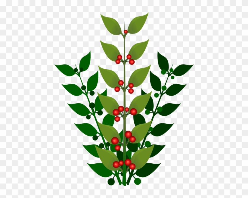 All Photo Png Clipart - Berry Bush Clipart #1627608