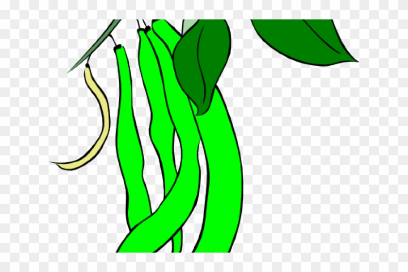 Bean Clipart Gren - Bean Clipart Gren #1628861