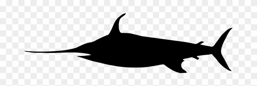 Fish, Marine, Ocean, Sea, Swordfish - Swordfish Graphic #1629463