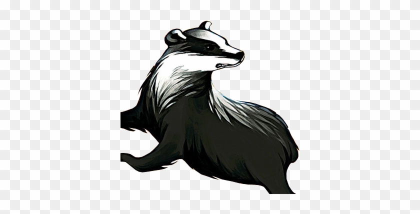 Badger Png - Procyon #1629482