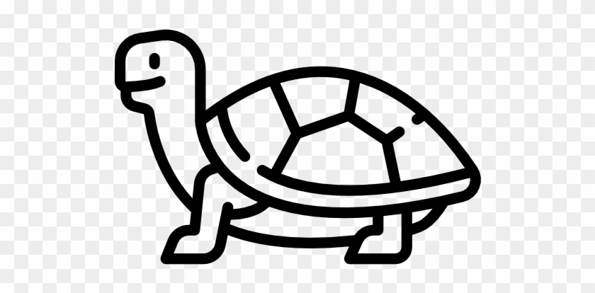 Reptiles - Reptiles #1629655