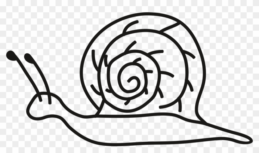 Snail Crawl Seashell - Animals That Crawl Clipart Black And White #1629751