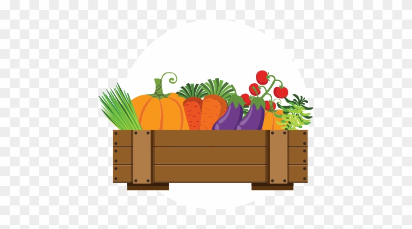 Are - Box Vegetable Vector #253334