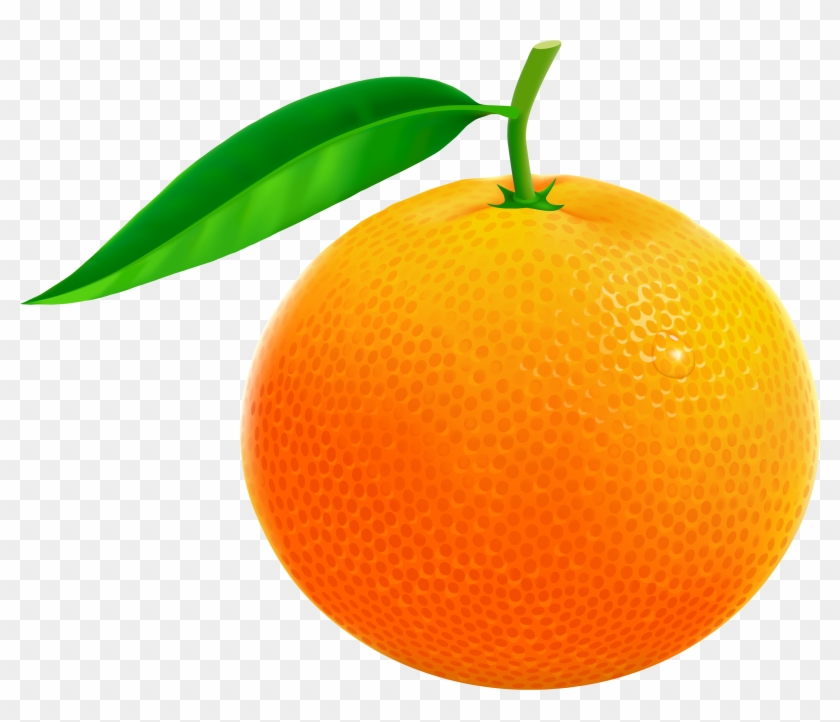 Orange Clip Art - Orange Clipart Png #253560