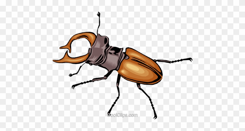 Royalty Free Vector Clip Art Illustration Anim - Käfer Clipart #1630156