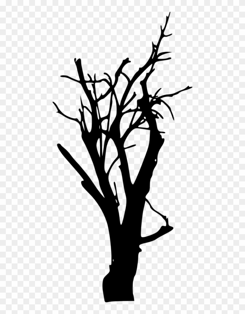 Tree Silhouette Free Images - Silhouette #1630178