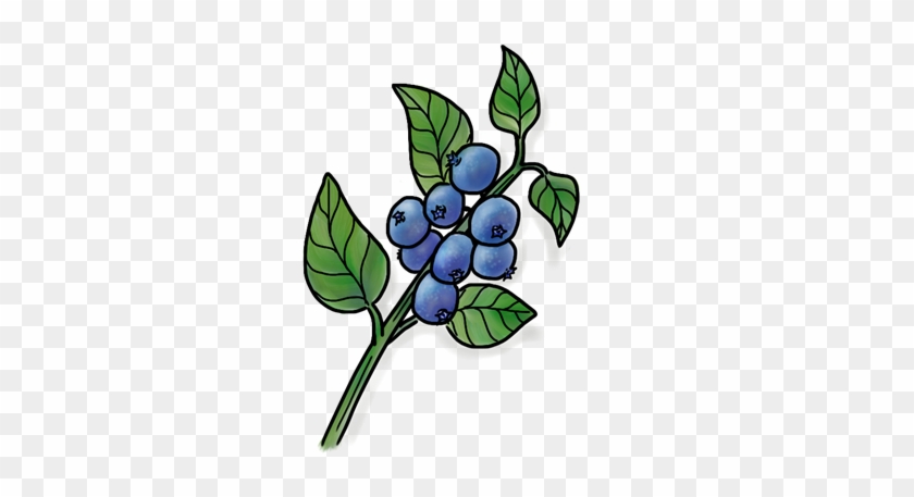 Olive This - Olive This #1631495