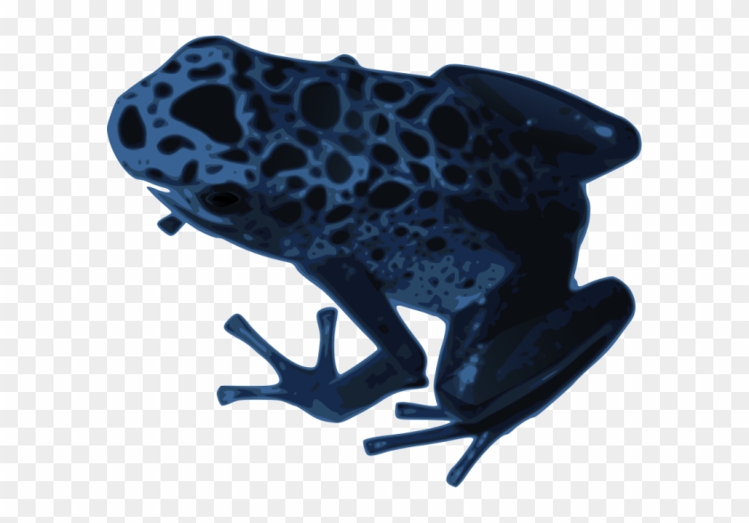 Amphibian Clipart - Amphibian Clipart #1631986