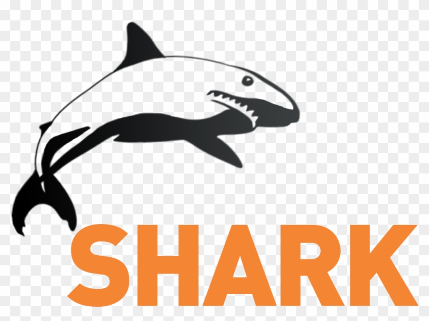 Karmet Shark - Park Snow #1633524