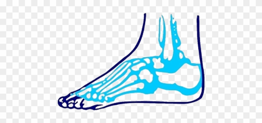 Mobile Hcpc Register Podiatrists / Chiropodists - Mobile Hcpc Register Podiatrists / Chiropodists #1633845