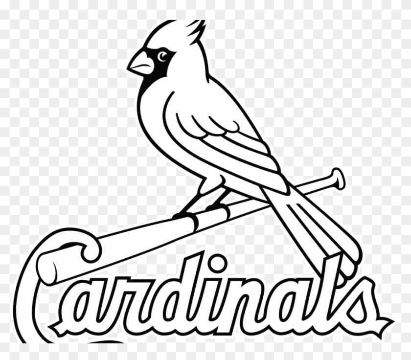 St Louis Cardinals Wallpaper - St Louis Cardinals #1634088