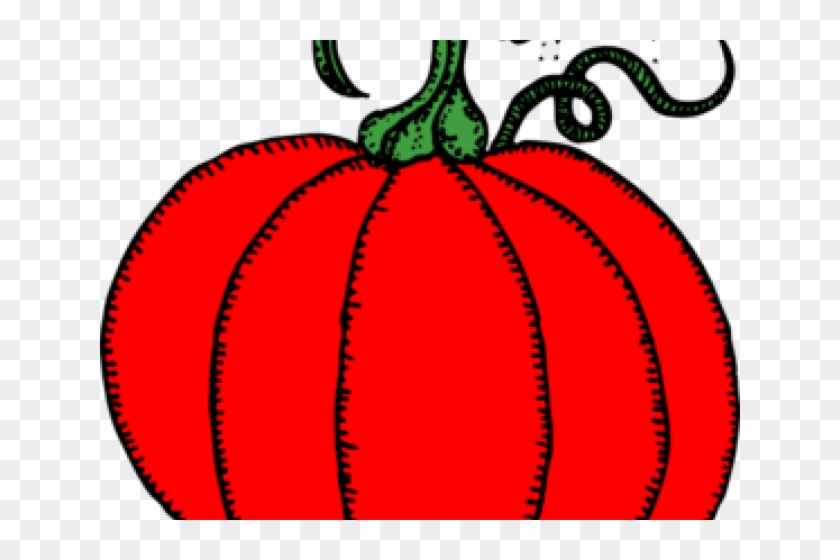 Pumpkin Blossom Cliparts Free Download Clip Art - Line Drawing Pumpkin Clip Art #1634149