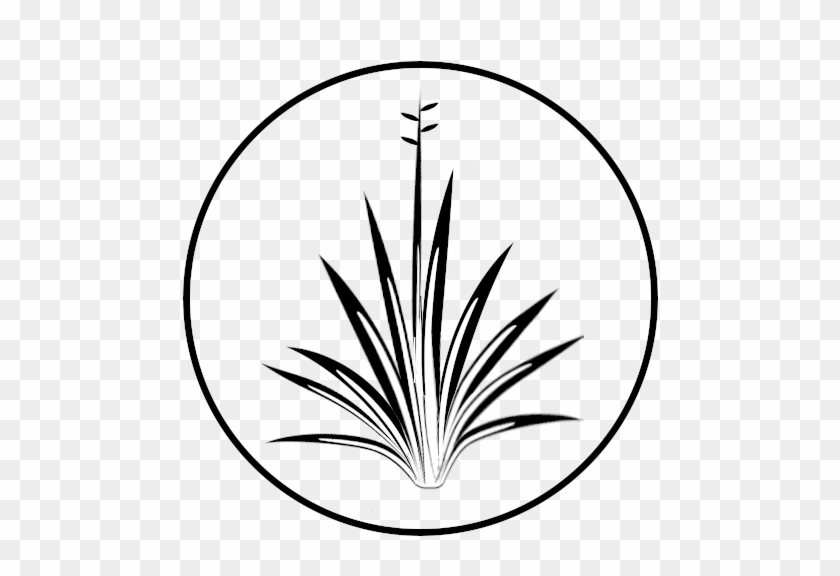 Sisal Strategies - Line Art #1634209